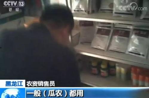 吃小瓜拉肚子段子视频在线观看,搞笑段子视频在线观看