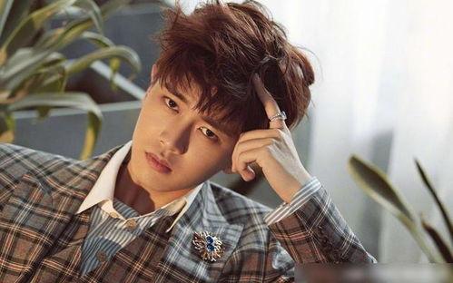 任嘉伦综艺 吃瓜视频,揭秘明星幕后趣事