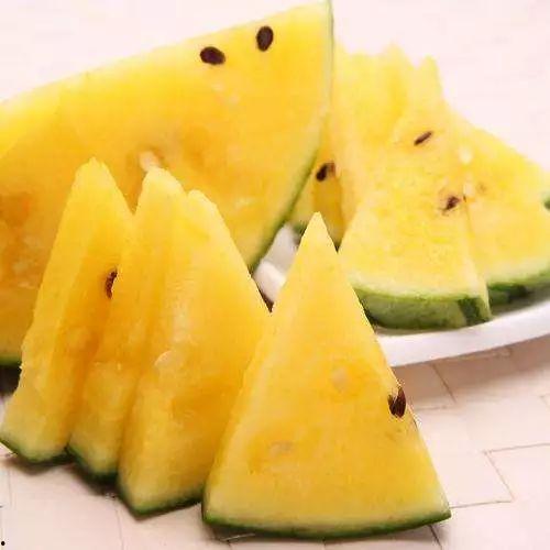 坎瓜老了怎么吃最好呢视频,探索最佳食用指南