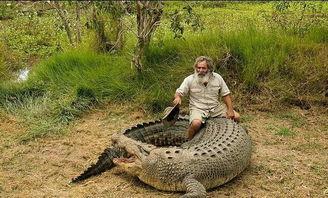 郭杰瑞吃瓜鳄鱼视频大全,一场惊心动魄的美食冒险