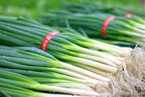 吃瓜吃到葱会长胖吗视频,真的会长胖？揭秘日常饮食中的增肥陷阱