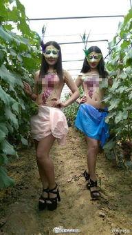 美女在葡萄园吃瓜视频,甜蜜瞬间引网友热议