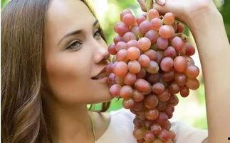 美女在葡萄园吃瓜视频,甜蜜瞬间引网友热议