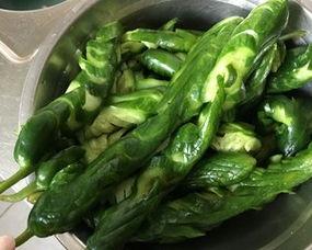 螺丝吃瓜视频全集,揭秘视频全集背后的精彩故事