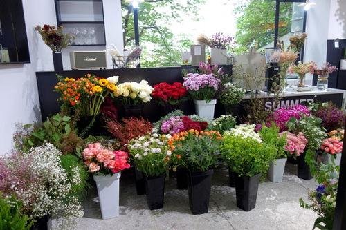 花店吃瓜视频素材,吃瓜视频里的花店日常揭秘