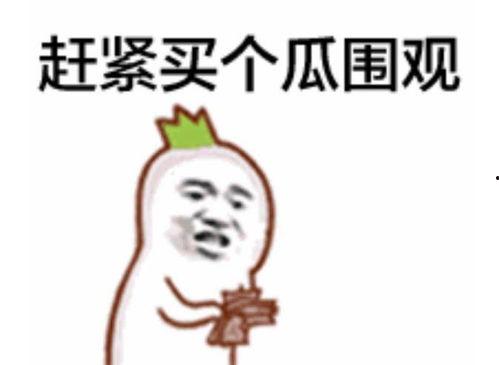 吃瓜表情包秒懂视频下载,吃瓜表情包秒懂视频下载全攻略