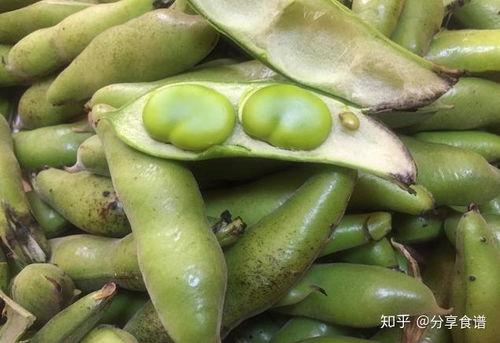 瓠瓜剥不剥皮吃呢视频,瓠瓜剥皮与不剥皮食用对比解析