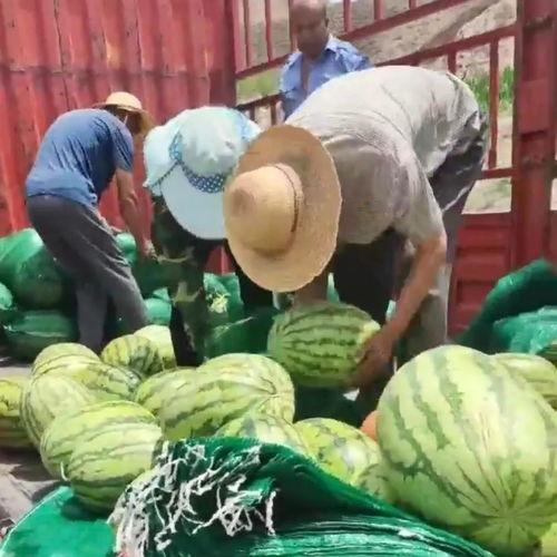 常州新北区吃瓜事件视频,一场引发热议的街头冲突纪实