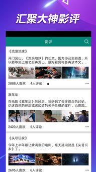 吃瓜小哥网红视频下载免费,免费下载背后的秘密