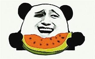 闹闹吃瓜视频完整版,揭秘娱乐圈幕后真相，带你领略明星真实生活