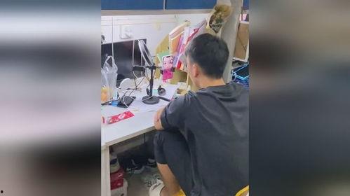 宿舍吃瓜爬宿舍视频,爬楼视频带你一窥宿舍生活百态