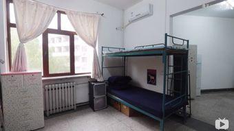 宿舍吃瓜爬宿舍视频,爬楼视频带你一窥宿舍生活百态