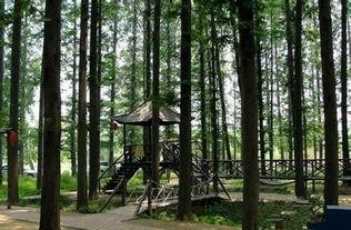 林海公园吃瓜事件视频,一场引发热议的网络视频风波