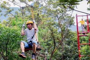 林海公园吃瓜事件视频,一场引发热议的网络视频风波