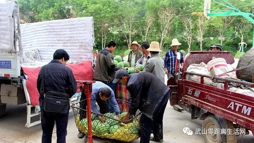 大城县吃瓜群众视频曝光,揭秘当地民生热点事件