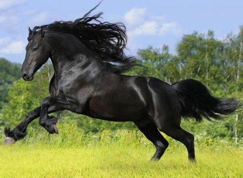 儿童马吃瓜视频,萌态十足，儿童乐园温馨瞬间