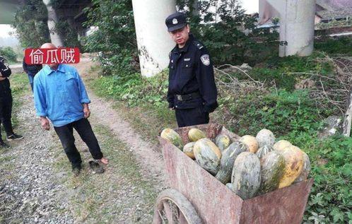 吕梁吃瓜事件真相视频,揭秘真相背后的惊人内幕