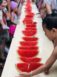 吃瓜小能手教学视频,轻松掌握瓜界教学视频精华