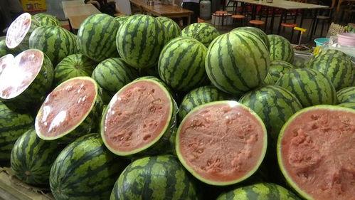 吃瓜的两人会说什么呢视频,揭秘“吃瓜的两人”视频背后的秘密