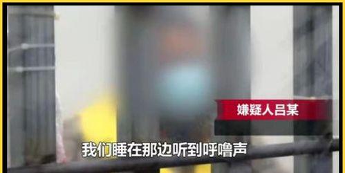 走廊打架吃瓜视频下载,吃瓜群众围观下载热议