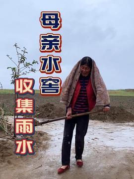 农村吃瓜摘瓜视频,农村吃瓜摘瓜视频带你体验田园生活