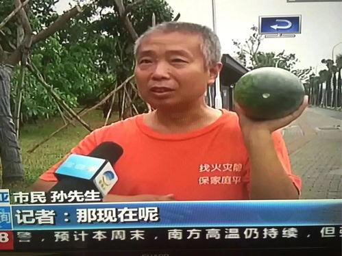 李新庄吃瓜群众事件视频,一场网络舆论的风暴与反思