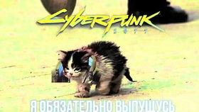 卷毛吃瓜视频是什么