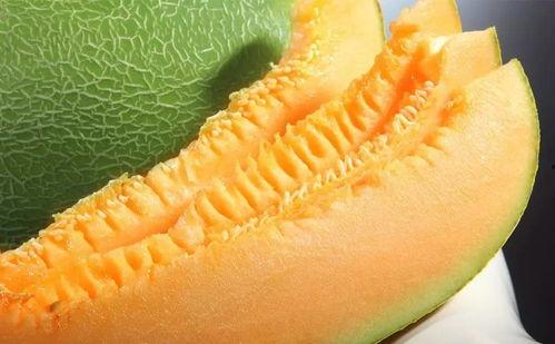 吃蜜瓜舞蹈曲子视频大全,跟随音乐节奏，尽享夏日欢乐时光