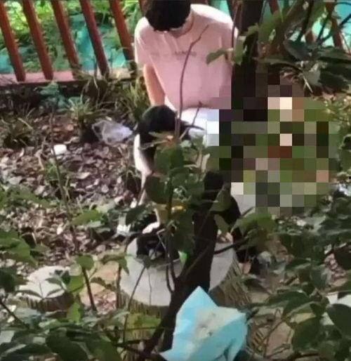 吃瓜被误伤大学生视频,大学生意外成视频焦点