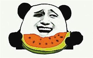 吃瓜群众的瓜子视频,揭秘吃瓜群众瓜子视频背后的趣味世界