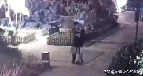 平遥吃瓜事件视频最新,一场网络热议背后的真相揭秘