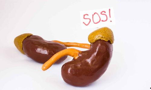 吃茄瓜对肾有害处吗视频,真相与误区