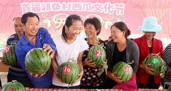 吃瓜内黄视频,一场视觉盛宴背后的故事