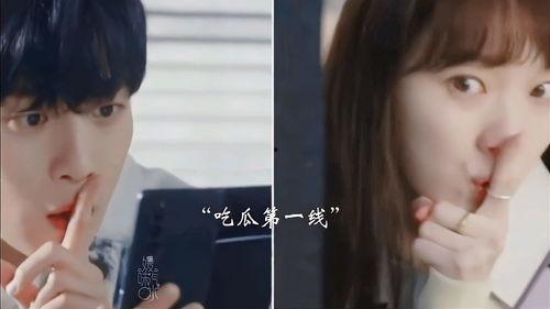 吃瓜夫妻视频大全播放,揭秘娱乐圈甜蜜瞬间