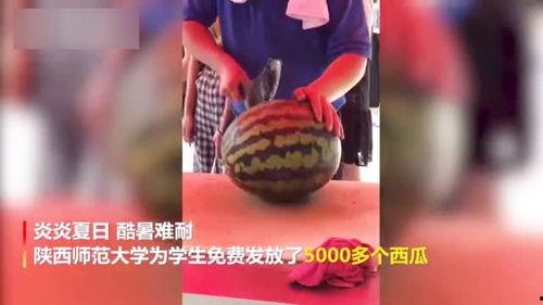 大柔吃瓜视频,揭秘娱乐圈幕后故事