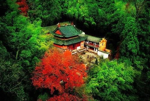 天台山吃瓜事件视频