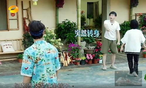 各大网友吃瓜事件真相视频,真相视频背后的真相与反思